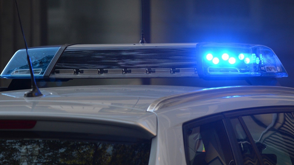 Woman has necklace ripped from her neck in "terrifying" robbery in her own home