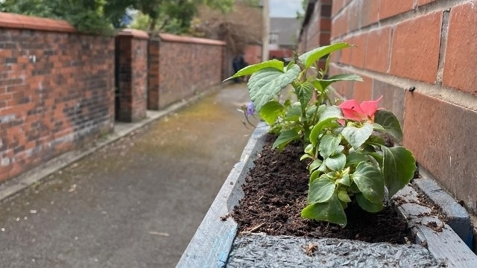 MyColdhurst residents making a big difference to their streets and alleyways