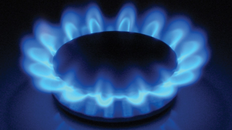 Here's our 12 tips to beat rising energy bills