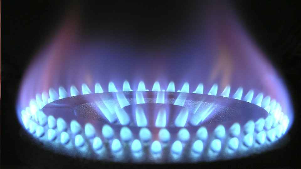 What to do if your energy supplier goes bust