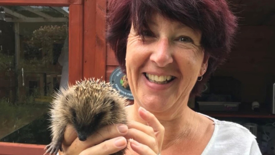 Paperchase to help hedgehogs