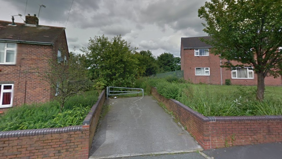 Police hunt for offender after teenage girl sexually assaulted in Lees