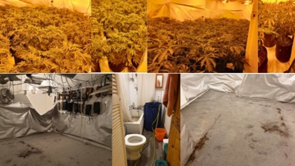 Shaw drugs raid - man is arrested