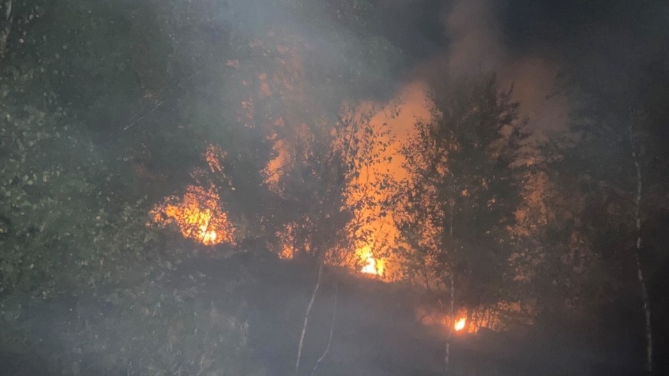 Arsonists hunted after moorland fires