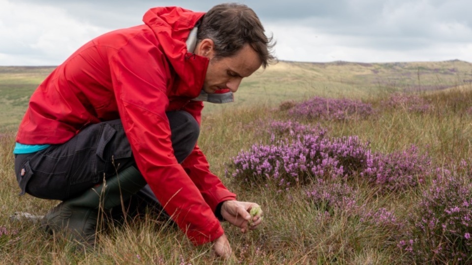 Community moss planting day hailed a success at Marsden Moor