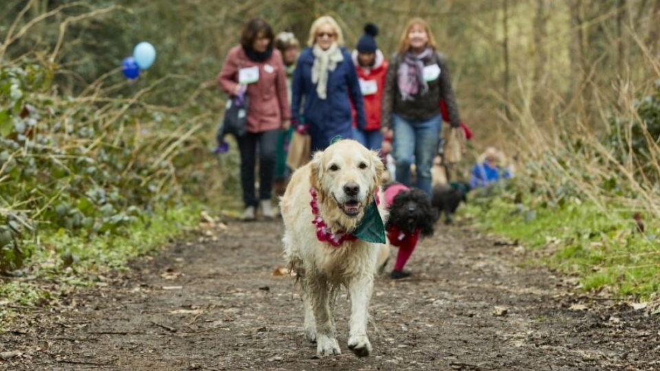 Oldham dog lovers urged to take up ‘Walkies’ cancer challenge